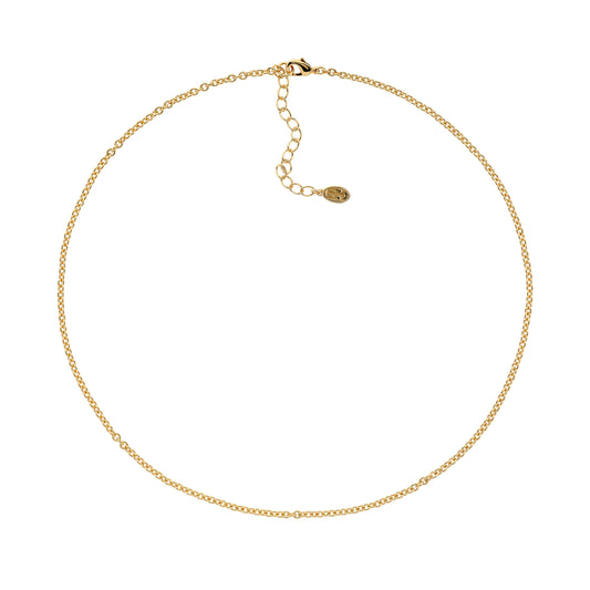 A delicate gold plated chain necklace with a simple clasp closure.
