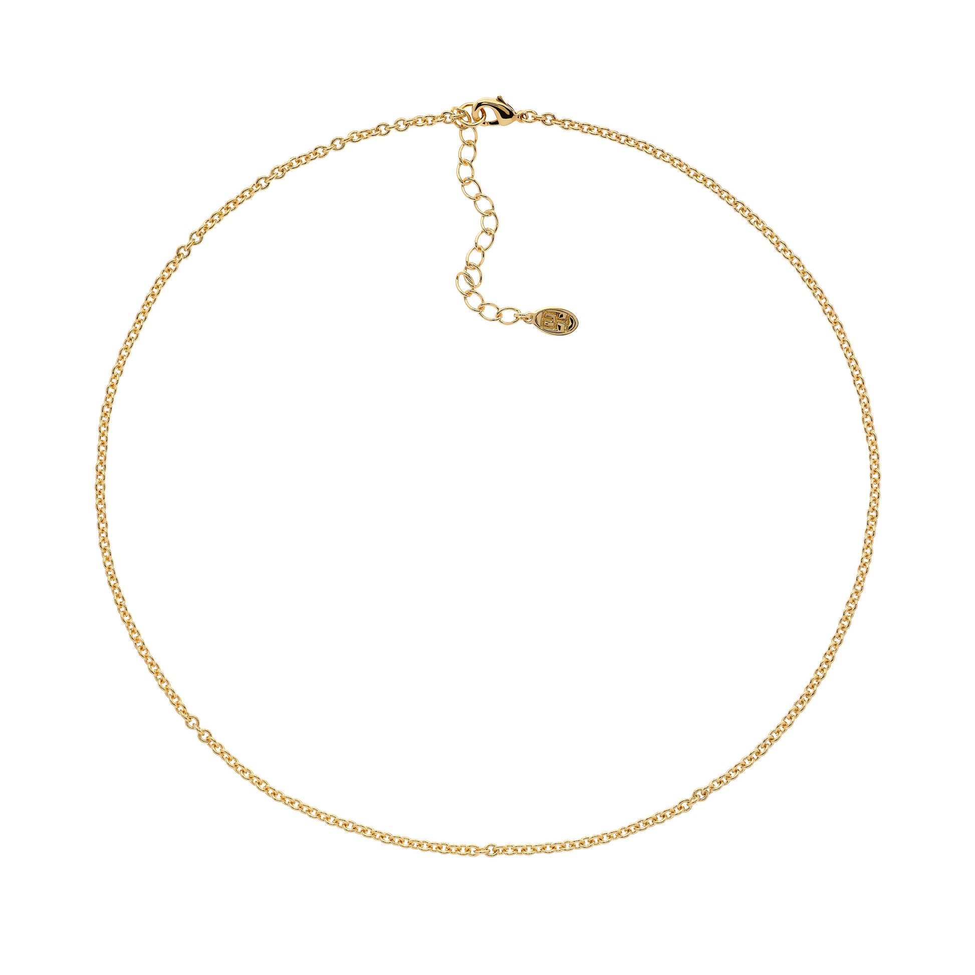 A delicate gold plated chain necklace with a simple clasp closure.