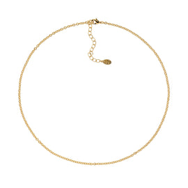 A delicate gold plated chain necklace with a simple clasp closure.